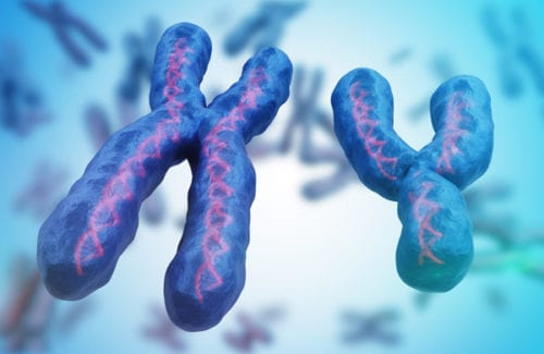 XY chromosomes reviewed by Dr. Joshua Smith, a pediatric endocrinologist in Pocatello and Idaho Falls.